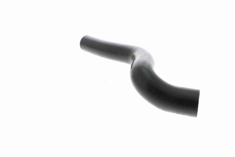 VAICO V40-1170 Radiator Hose