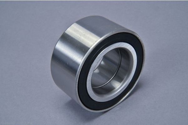 AUTOMEGA 110060110 Wheel Bearing