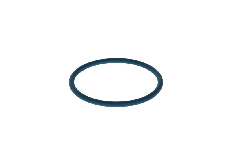 Inel cauciuc F 00N 204 108 BOSCH