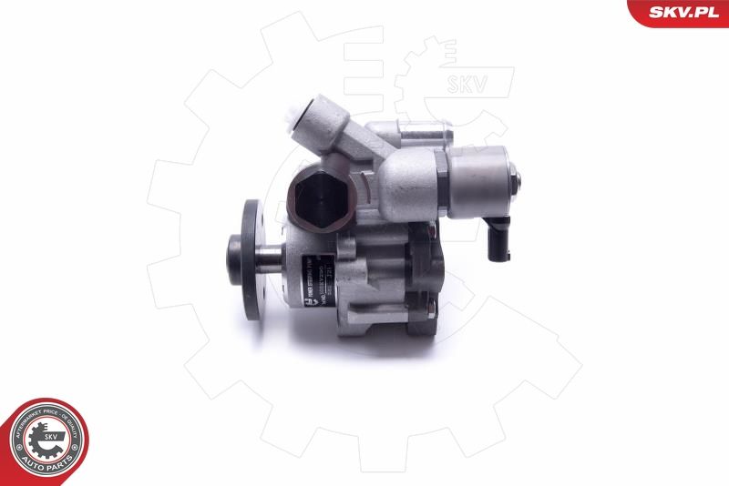 ESEN SKV 10SKV290 Hydraulic Pump, steering