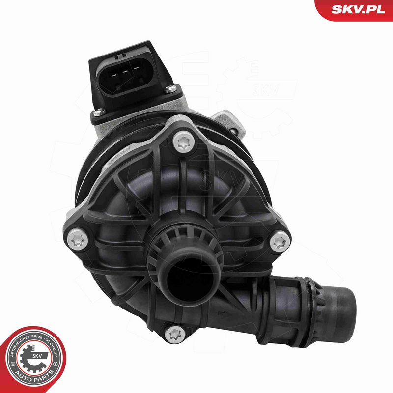 ESEN SKV 22SKV091 Auxiliary Water Pump (cooling water circuit)