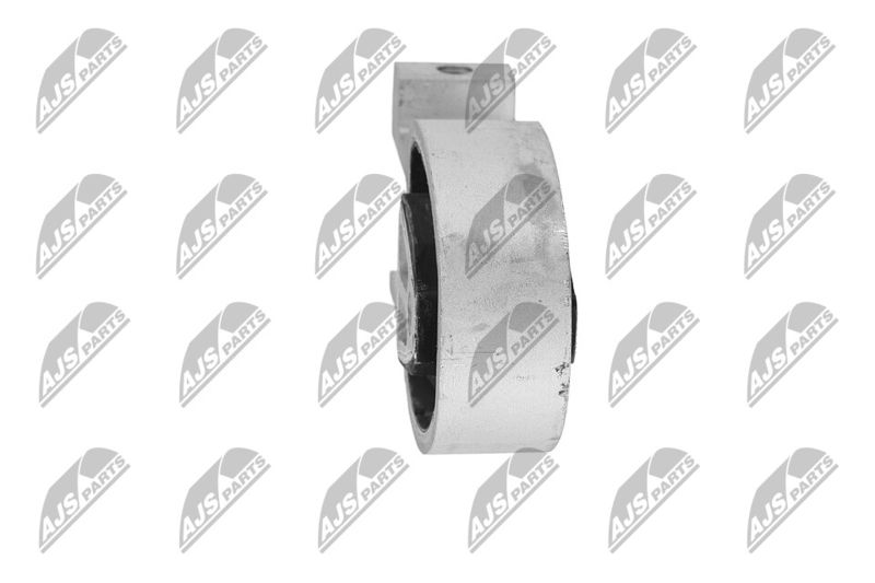 Paigutus, Mootor, NTY ZPS-FR-010