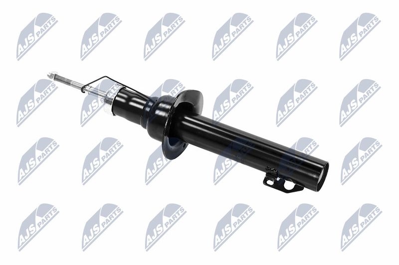Amort, NTY A-CH-065