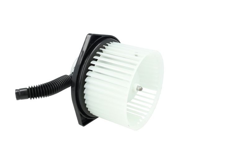 Salongipuhur, NRF 34377