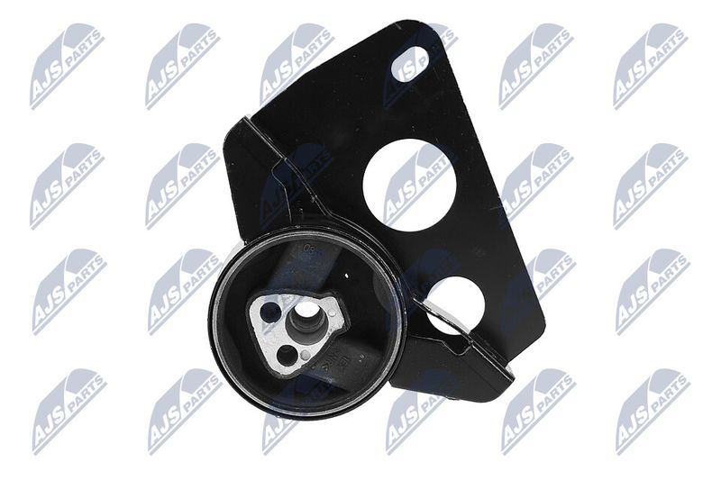 Paigutus, Mootor, NTY ZPS-DW-007