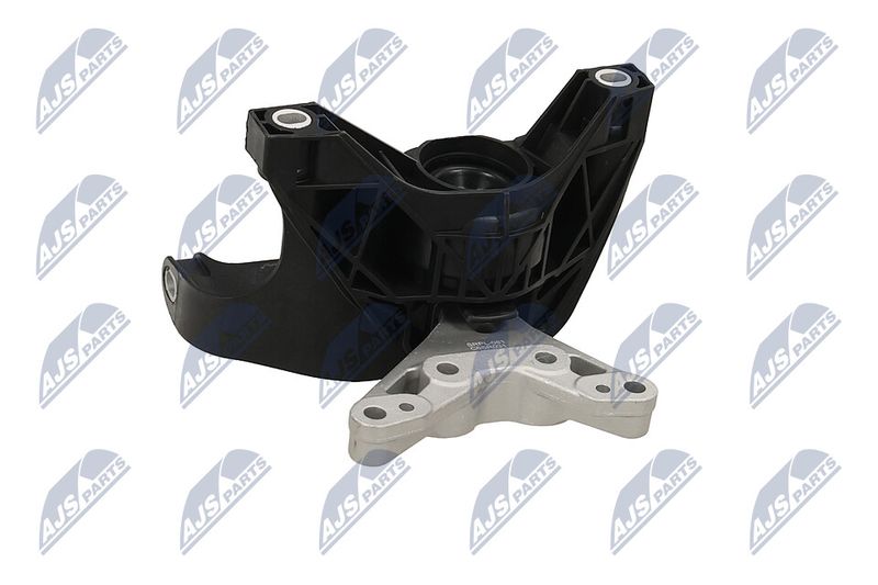 Paigutus, Mootor, NTY ZPS-PL-081