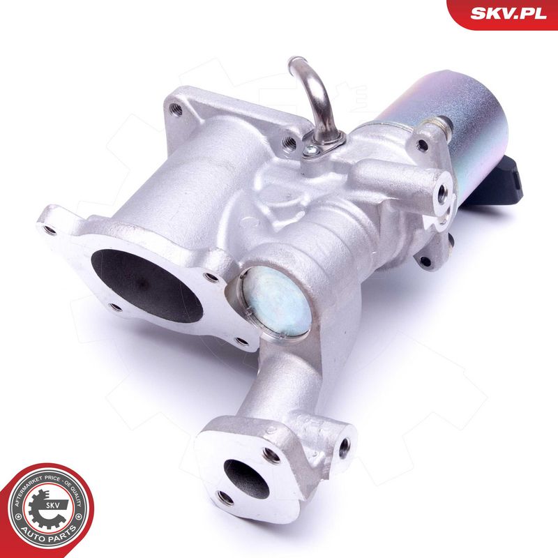 EGR-klapp, ESEN SKV 14SKV166