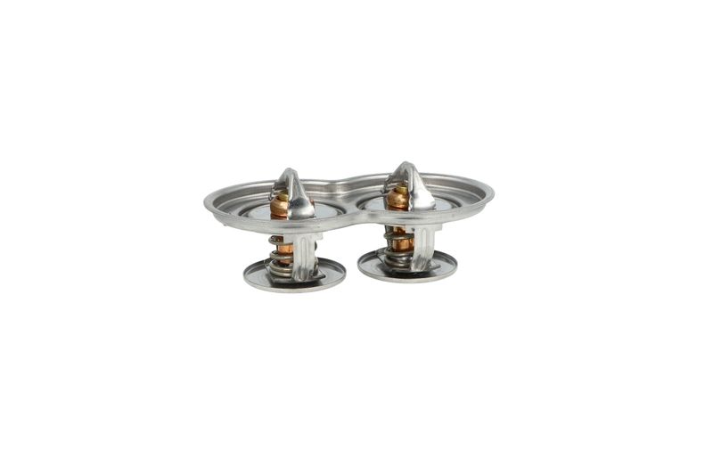 Termostat, chladivo 725433