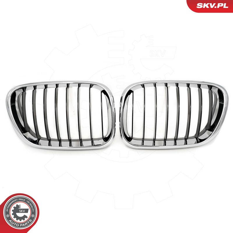 Radiaatorivõre, ESEN SKV 66SKV273