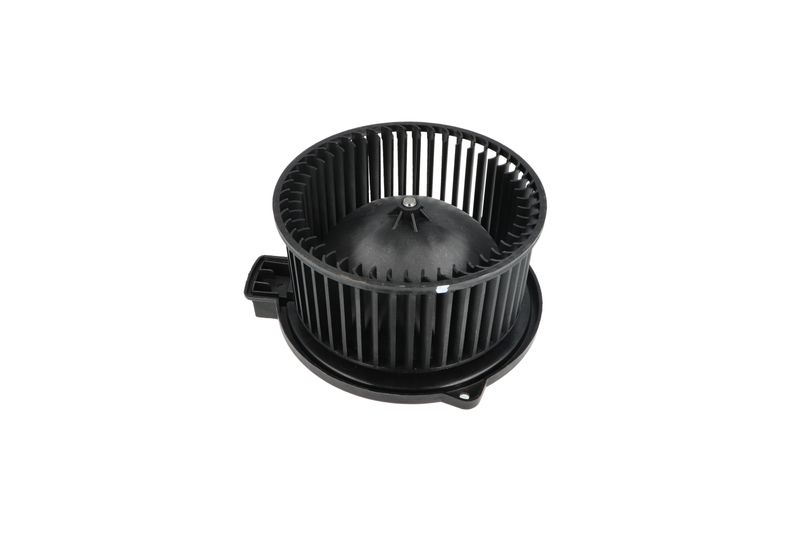 Salongipuhur, NRF 34331