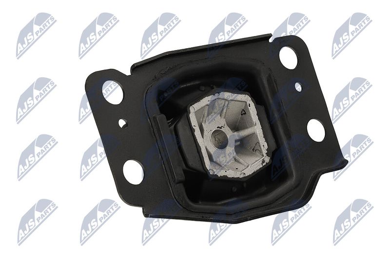 Paigutus, Mootor, NTY ZPS-FR-036