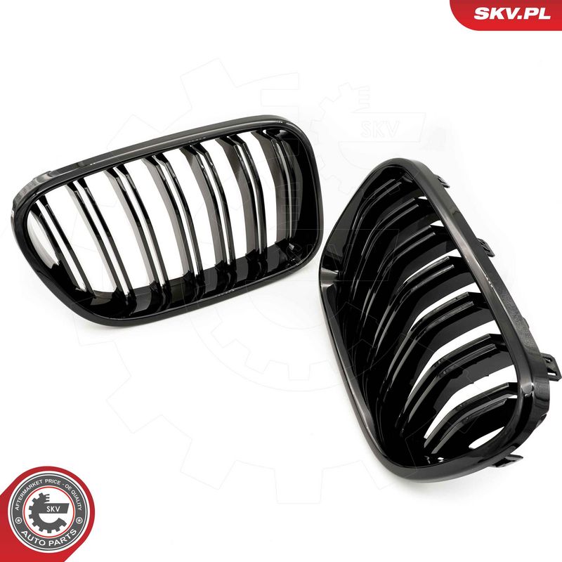 Radiaatorivõre, ESEN SKV 66SKV252