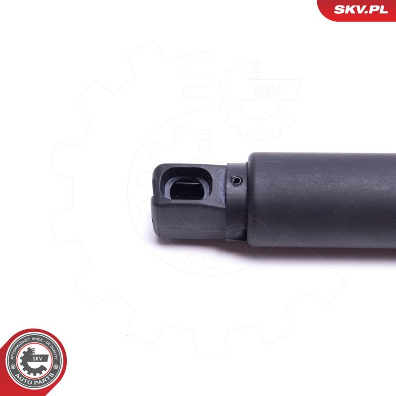 Elektrimootor, tagaluuk, ESEN SKV 52SKV921