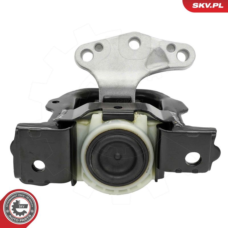 Paigutus, Mootor, ESEN SKV 75SKV017