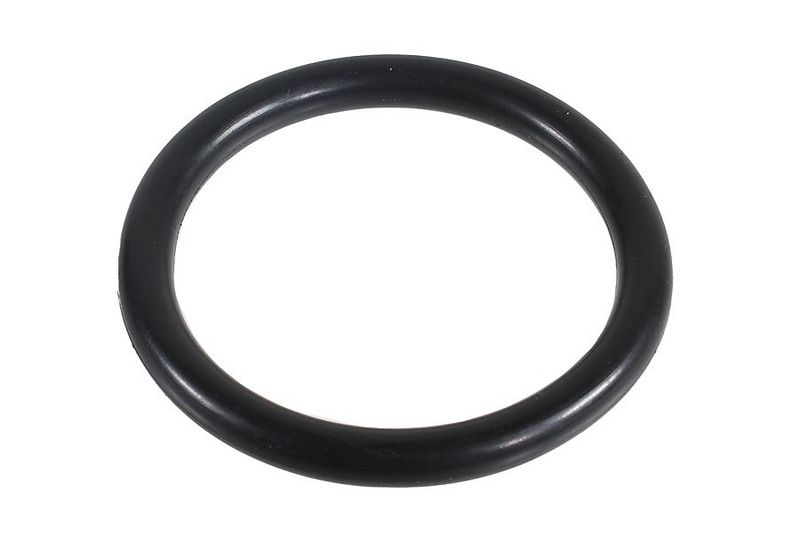 METZGER AUTOTEILE 2430002 - Seal Ring