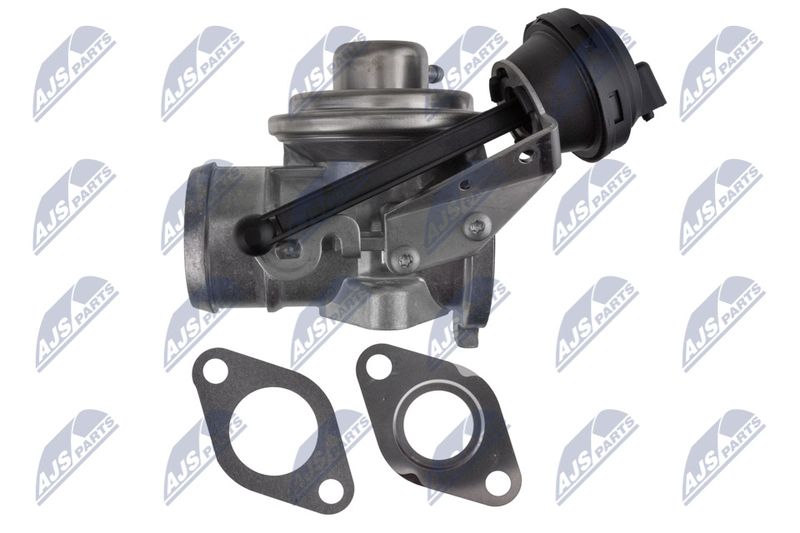 NTY EGR-VW-031 EGR Valve