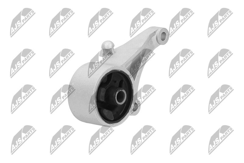 Paigutus, Mootor, NTY ZPS-PL-012