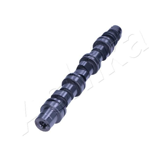 16DW013_2.JPG