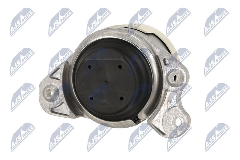 Paigutus, Mootor, NTY ZPS-ME-079