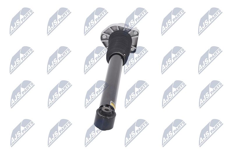 Amort, NTY A-LR-015