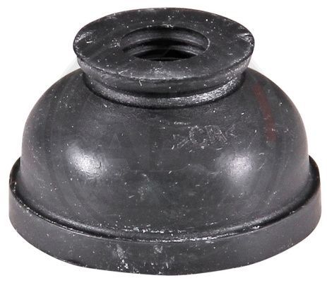 279049.JPG
