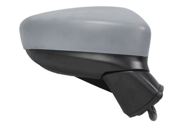 BLIC 5402-14-2001728P Exterior Mirror