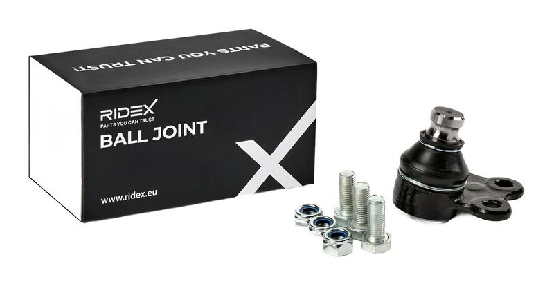 Шарнири RIDEX
