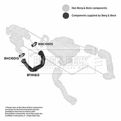 BTH1613_1125618.JPG
