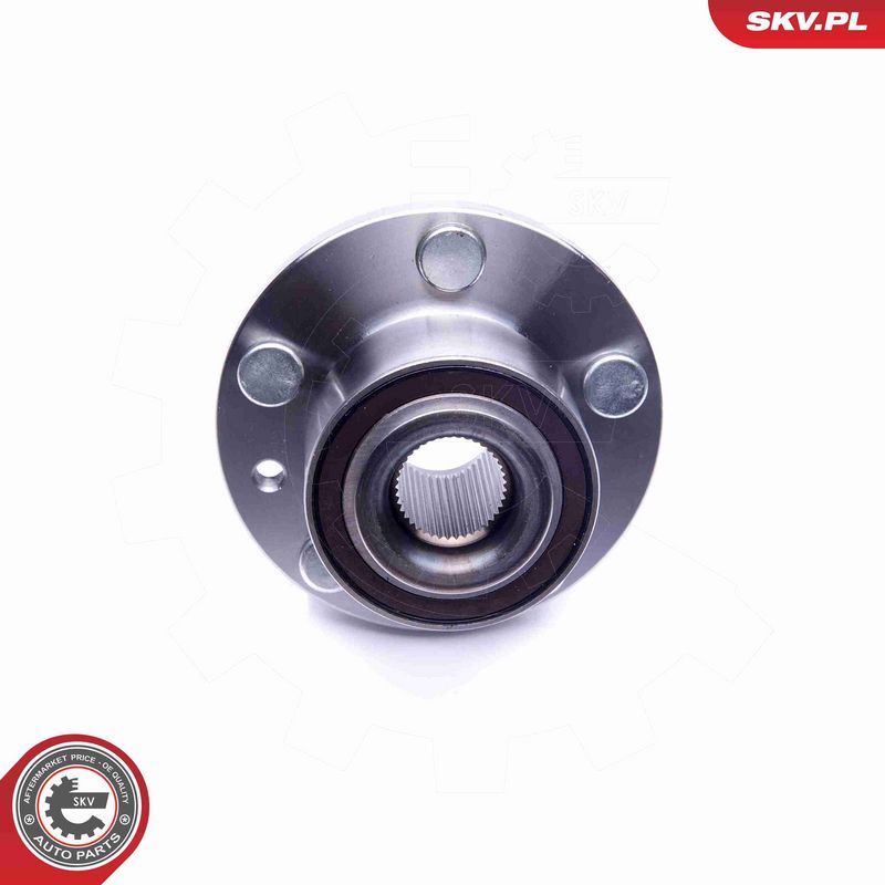 ESEN SKV 29SKV188 Wheel Bearing Kit