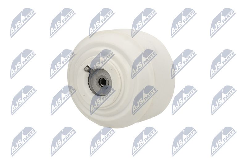 Paigutus, Mootor, NTY ZPS-ME-109