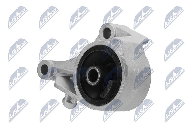 Paigutus, Mootor, NTY ZPS-PL-007