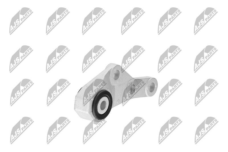 Paigutus, Mootor, NTY ZPS-CH-124