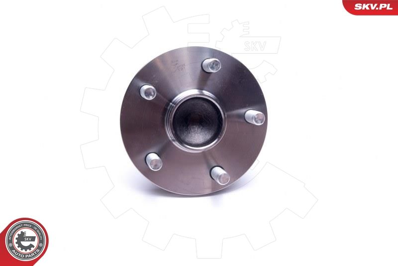 ESEN SKV 29SKV497 Wheel Bearing Kit