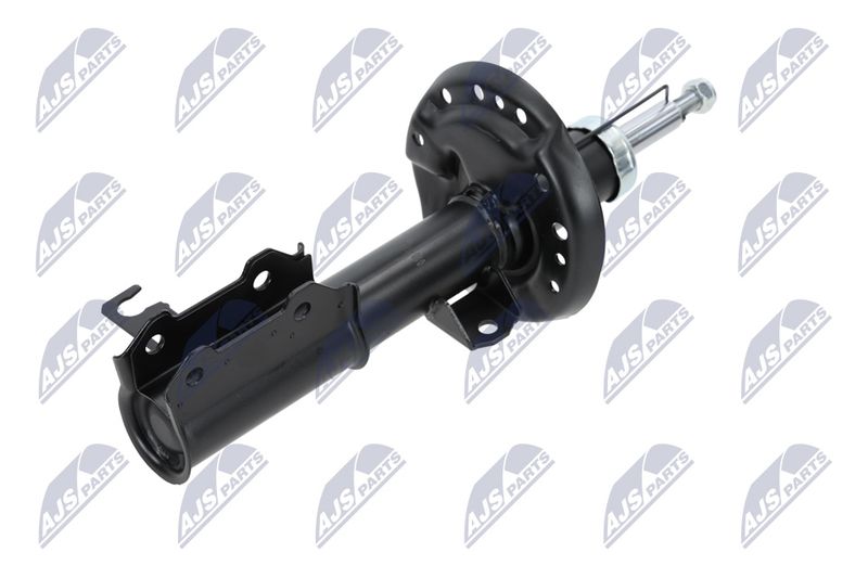 Amort, NTY A-PL-029