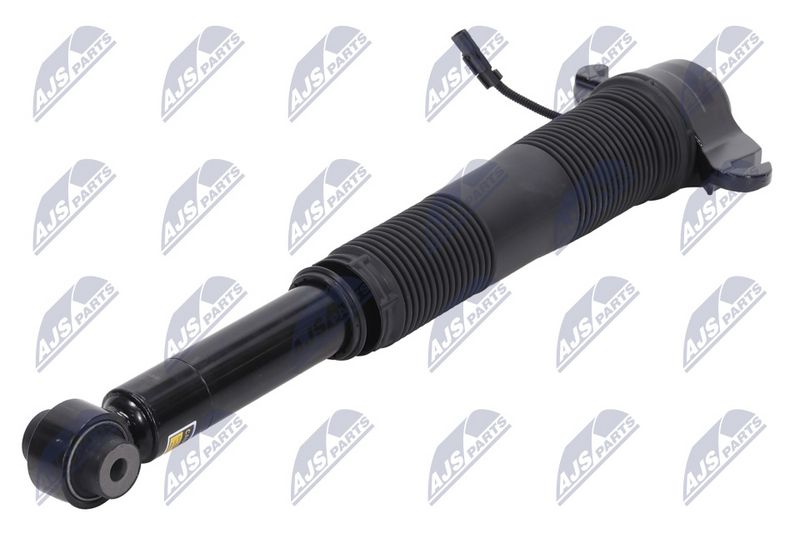 Amort, NTY A-LR-021