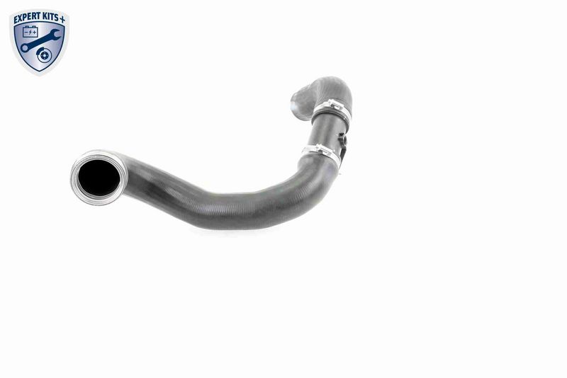 VAICO V30-2420 Charge Air Hose