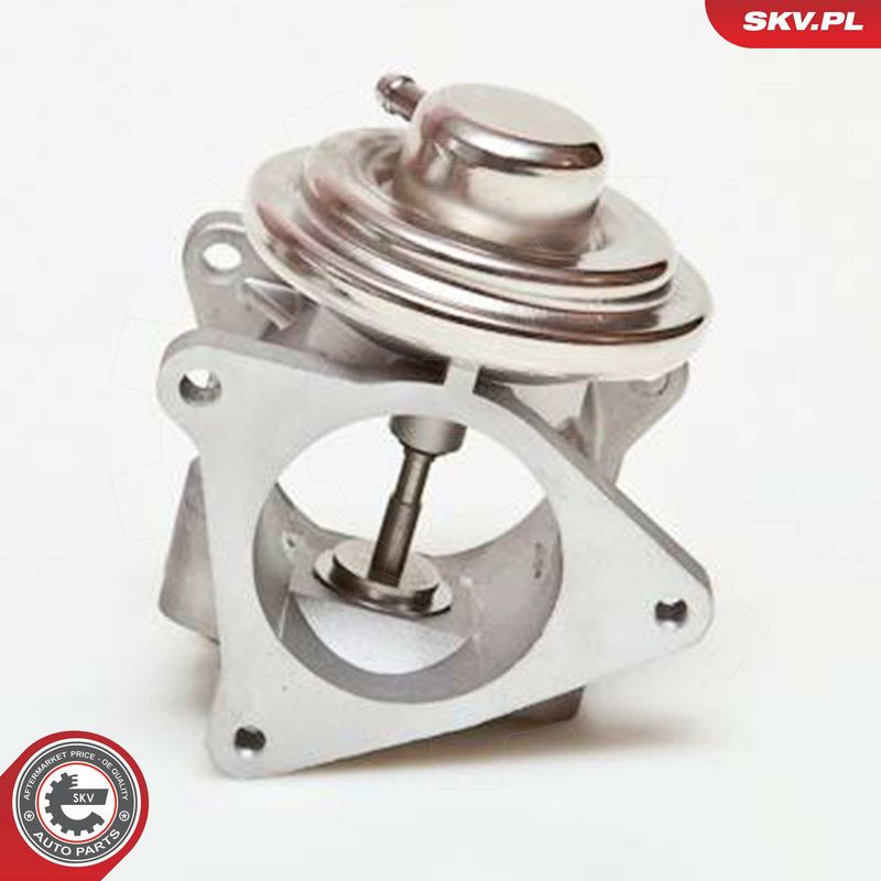 OEM код товара: 038131501AF