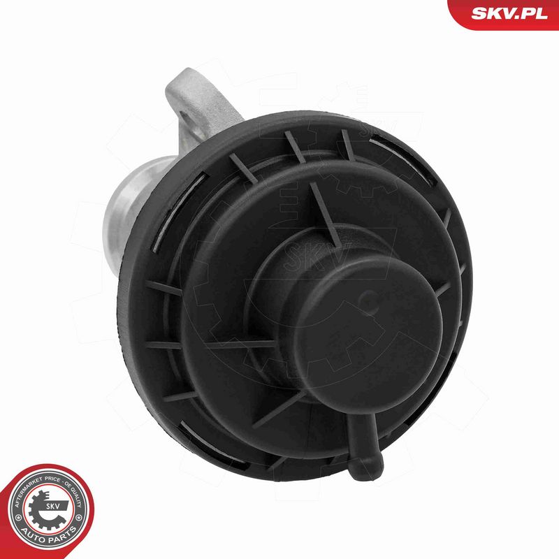 ESEN SKV 14SKV291 EGR Valve