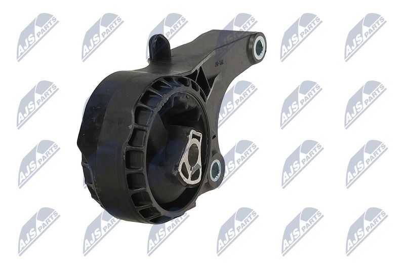 Paigutus, Mootor, NTY ZPS-PL-058