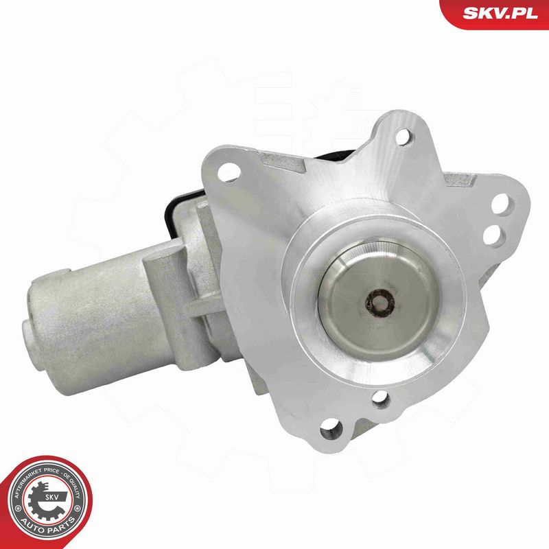 ESEN SKV 14SKV325 EGR Valve