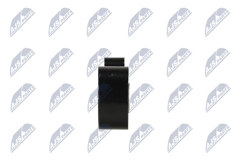 Paigutus, Mootor, NTY ZPS-MS-025