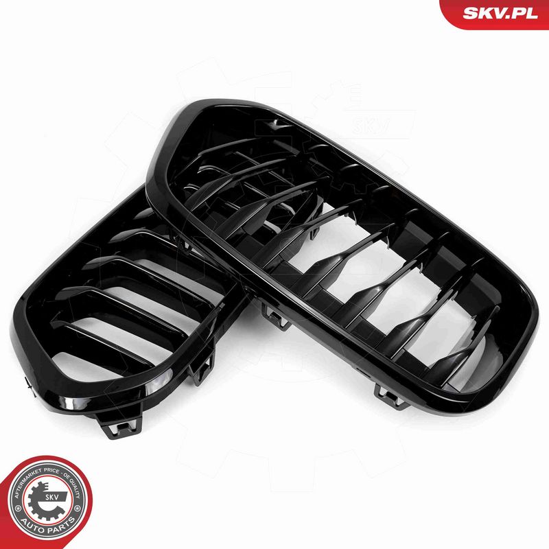 ESEN SKV 66SKV245 Radiator Grille