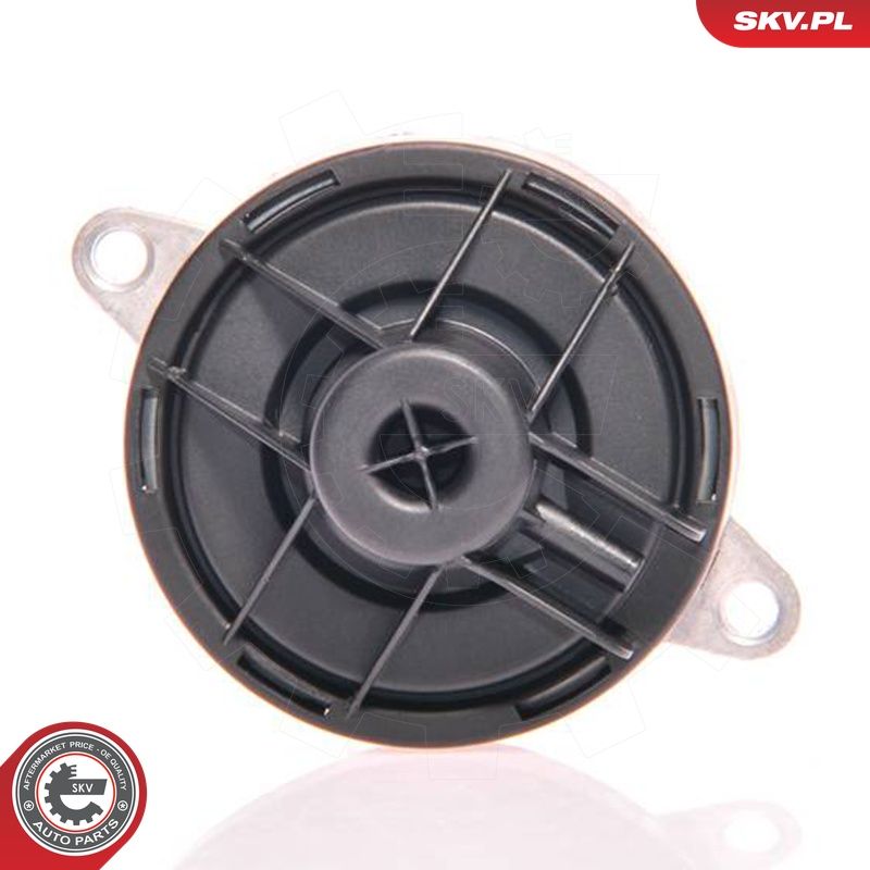 EGR-klapp, ESEN SKV 14SKV023