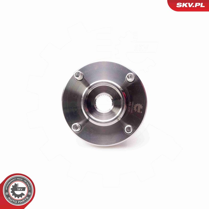 ESEN SKV 29SKV096 Wheel Bearing Kit