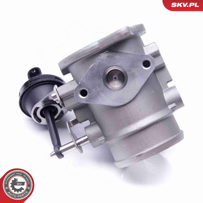 ESEN SKV 14SKV106 EGR Valve