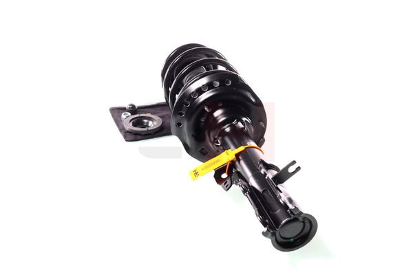 Vedruamort, GH GH-353422C01