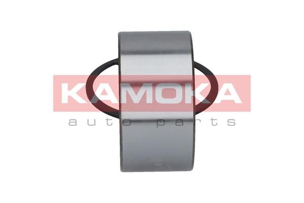 KAMOKA 5600020 Wheel Bearing Kit