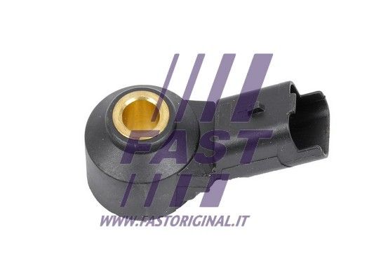 FT75585_1_1.JPG