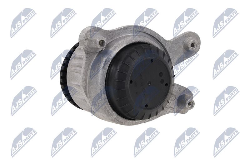 Paigutus, Mootor, NTY ZPS-ME-031