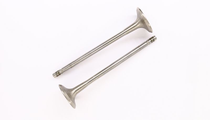 CORTECO 554011B Exhaust Valve
